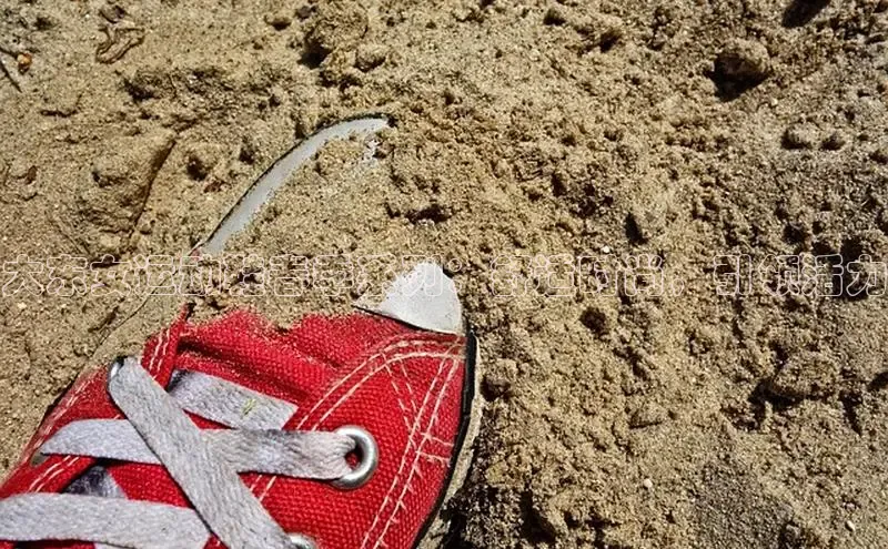 意昂2体育官方网站百度集团大东女运动鞋春季系列：舒适时尚，引领活力