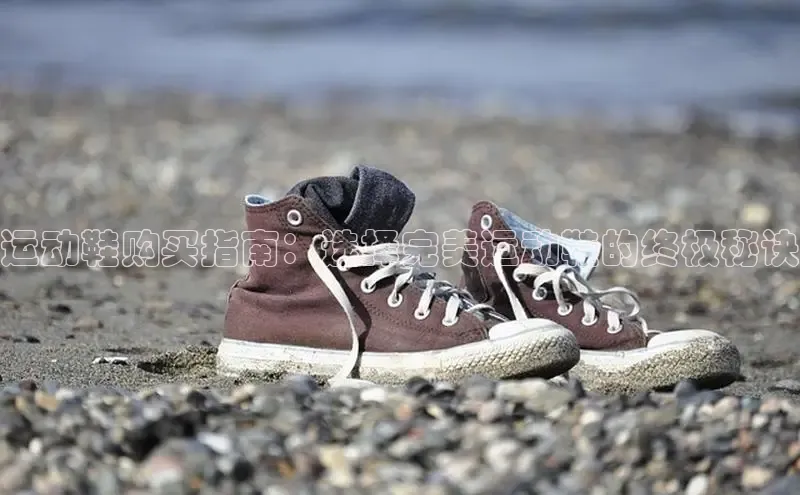 意昂2登录入口华扬联众运动鞋购买指南：选择完美运动鞋的终极秘诀