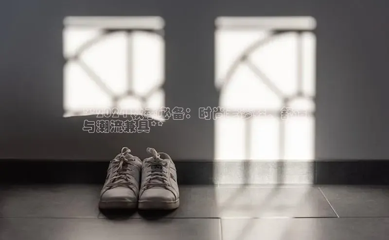 意昂2账号登录入口百度翻译**2024 秋季必备：时尚老爹鞋，舒适
与潮流兼具**
