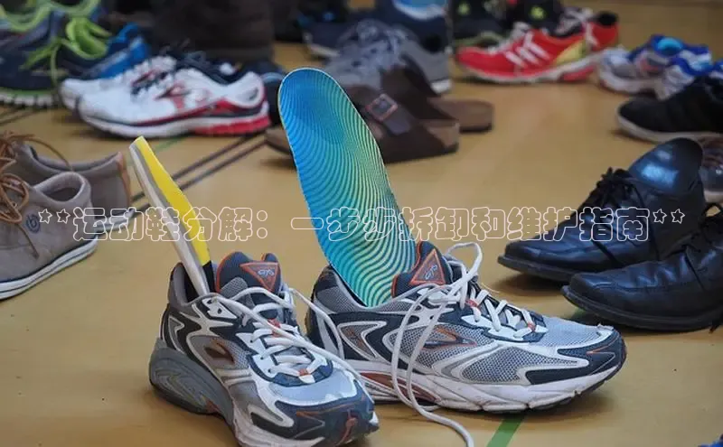 意昂2登录极氪智能科技**运动鞋分解：一步步拆卸和维护指南**