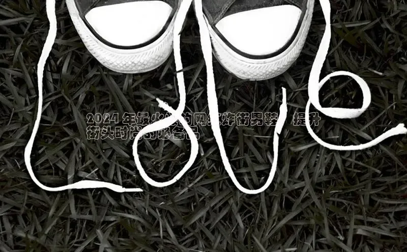 意昂2注册ARGA公司2024 年最火爆的网红炸街男鞋：提升
街头时尚的必备品