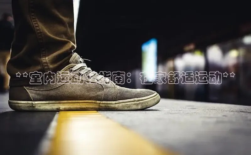 意昂2登录入口百家号**室内运动鞋指南：在家舒适运动**