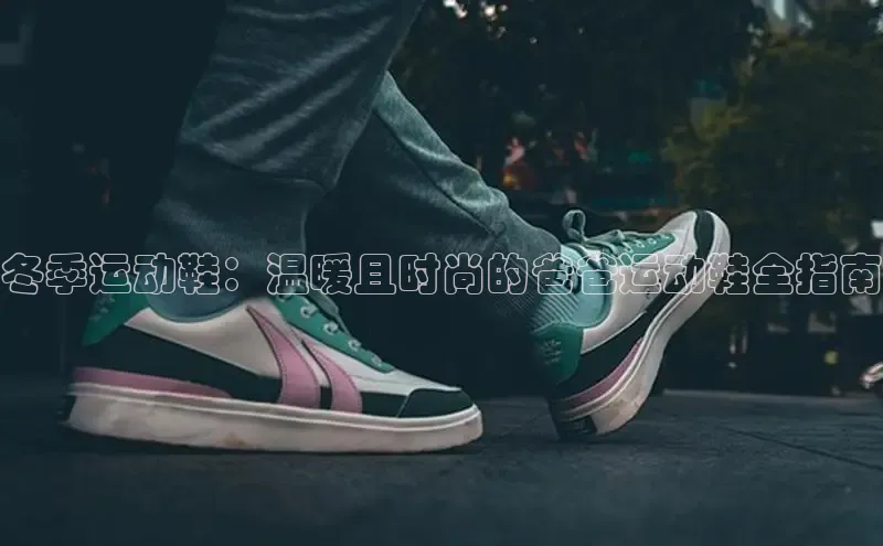 意昂2登录入口小米冬季运动鞋：温暖且时尚的爸爸运动鞋全指南